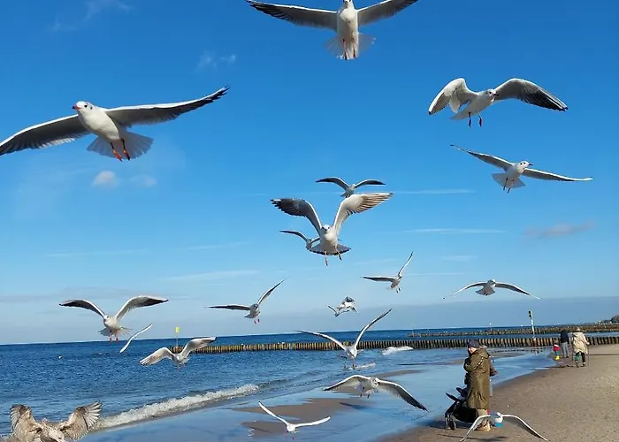 Apartament Diva Prywatny 2 Pokojowy Kołobrzeg